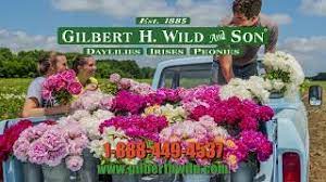 Make use of our best gilbert h wild coupons, promo codes, which are updated and. 2019 Gilbert H Wild Spring Catalog Youtube