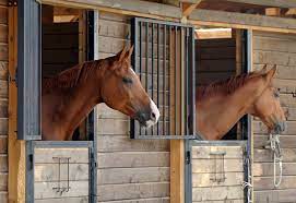 Ten essential items for your barn medicine chest. Horse Boarding Barn Best Practices The Horse