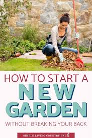 How To Start A Garden Without Breaking Your Back Lasagna Gardening Gardening For Beginners Vegetable Garden For Beginners