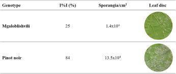 We did not find results for: Unique Resistance Traits Against Downy Mildew From The Center Of Origin Of Grapevine Vitis Vinifera Scientific Reports