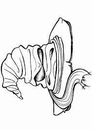 Harry Potter Coloring Page Luxury 32 Best Harry Potter Coloring Images On Pinter Color Harry Potter Coloring Pages Harry Potter Colors Harry Potter Drawings