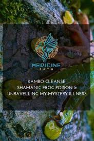 Plant Medicine Ayahuasca Ceremonies Huachuma Kambo Cleanse Self Discovery Adventure Consciousness Explor Shaman Medicinal Plants Ayahuasca Ceremony
