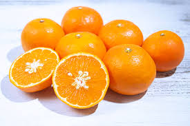 セミノールの食べ方は剥くよりカットがベスト！収穫量日本一の和歌山がおすすめする食べ方をご紹介|福BUKURO