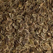 Image result for Anethum