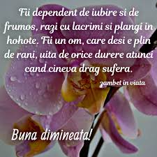 7 dintre cele mai bune filme de comedie ale tuturor timpurilor, la care râzi necondiționat și pe care le poți vedea împreună cu prietenii. Pin By Mariana Niscoveanu On Despre Mine Vegetables Food