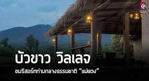 บัวขาว บัญชาเมฆ นักมวยคนดัง สร้างสีสันให้กับแฟนมวยอีกครั้ง จัดเต็มเสื้อผ้าใส่สูทสีเจ็บ นำทีมลุยกิจกรรมดำนา ที่ บัวขาว วิลเลจ จังหวัด. à¸š à¸§à¸‚à¸²à¸§ à¸§ à¸¥à¹€à¸¥à¸ˆ à¸Šà¸¡à¸£ à¸ªà¸­à¸£ à¸—à¸— à¸²à¸¡à¸à¸¥à¸²à¸‡à¸˜à¸£à¸£à¸¡à¸Šà¸²à¸• Chiang Mai News
