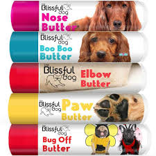 Discover the best stories from disney, pixar, marvel, star wars and national geographic in one place. The Blissful Dog Irish Setter Collection For Your Dog S Bliss