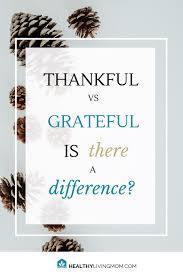 Thankful Vs Grateful Is There A Difference Thankful Grateful Christian Encouragement
