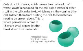 We did not find results for: Cell Biology Quotes Quotesgram