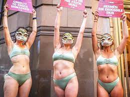 Peta-Aktivistinnen protestieren im Bikini gegen Krokodilleder (Video) |  STERN.de