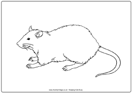 Download and print these rat coloring pages for free. Rat Colouring Page Colouring Pages Coloring Pages Coloring Pictures
