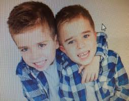 Boy, 7, died of leukaemia weeks before getting stem cells from twin