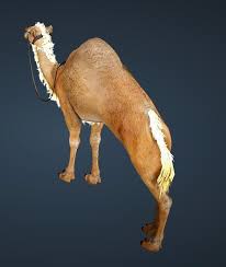 News events updates wiki enhance calculator caphras calculator. Bdo Fashion Brown Camel Black Desert Online