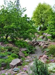 Three Dogs In A Garden The Rock Garden Part 2 Planting Notes Rock Garden Landscaping With Rocks Evergreen Garden