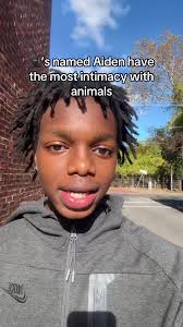 The Meaning with The Name Aiden