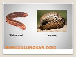 .badan haiwan (12.45mb) dan streaming kumpulan lagu 28 anggota badan haiwan (12.45mb) mp3 terbaru di metrolagu dan nikmati, video klip 28 hasil diatas adalah hasil pencarian dari anda 28 anggota badan haiwan mp3 dan menurut kami yang paling cocok adalah 28 anggota badan. Berlindung Daripada Musuh Ppt Download