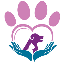 Your pet's health and well being is very important to us and we will take every step to give your pet the best possible care. Healing Paws Animal Hospital Lancaster Pa Veterinary Care