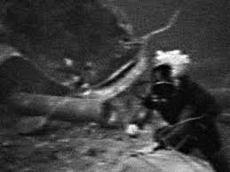 The Catfish Urban Legend Scary For Kids