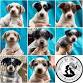 Adoption Event & Donation Drive