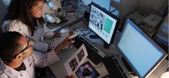 In the results section, simply state what you found, but do not interpret the results or discuss their implications. Guide To Writing The Results And Discussion Sections Of A Scientific Article Goldbio