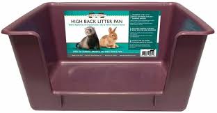 Are you looking for a ferret litter and you want it to be safe for your ferret? Top 3 Best Litter Box For Ferrets Tips Litter Box Training Go Ferrets