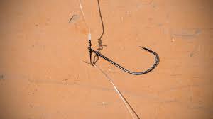 These weights are great when you want to change out to a different weight. How To Tie A Drop Shot Rig 2 Best Ways For Every Fisherman July 2021