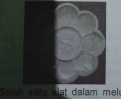 Air tanah juga dapat di artikan semua air yang berapa di bawah permukaan tanah merupakan air tanah. 17 Perhatikan Foto Di Bawah Ini Cat Airfoto Tersebut Adalah Alat Lukis Yang Disebuta Palet Cat Brainly Co Id