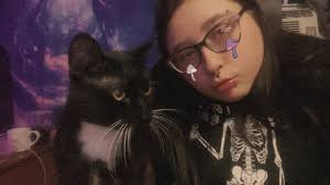 Lost cat near Springfield Street fire station