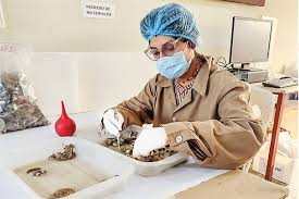 Así se comía antes