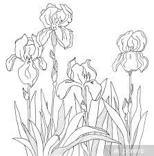 Iris Sticker Pixers We Live To Change In 2021 Flower Line Drawings Flower Drawing Iris Painting