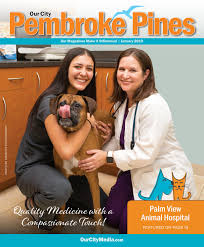 Our pembroke pines clinic is conveniently located in the tanglewood plaza, between pembroke pines kindercare and starbucks. Our City Pembroke Pines January 2019 By Our City Media Issuu