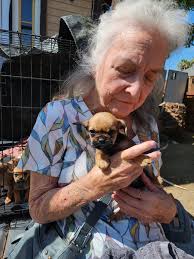 Can you make Ms. Evie into a Christmas pic? I am not good at this stuff!  Thank you for helping