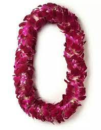 Hawaiian Lei Orchid Lei Flower Lei Orchids