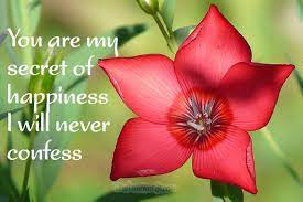 22 ways to make your wife happy. 40 Sincere Love Messages For Your Wife True Love Words