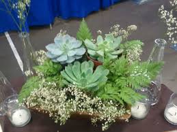Centerpieces With Succulents And Babies Breath Babys Breath Wedding Bridal Shower Centerpieces Succulent Centerpieces