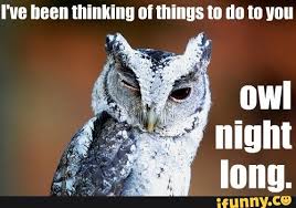 I found them on google. Quotes About Night Owl 43 Quotes