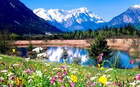Search your top hd images for your phone, desktop or website. Spring Background Hintergrundbild Nawpic