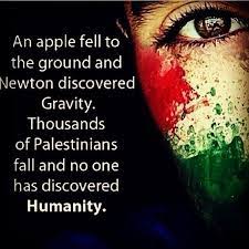 Metin yıldırım adlı kullanıcının koleksiyonu. Antor On Instagram Palestine Will Be Free à¸„à¸§à¸²à¸¡à¸£ à¸