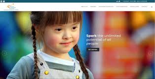 Spark the unlimited potential of all people Simcoe Community Services  Hockey Night in Orillia with the NHL Alumni All Stars