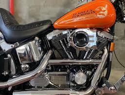 Image result for Mandarin Orange 1993 FXSTS