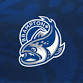 Brampton Steelheads vs. Guelph Storm event image