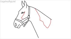 Drawing them can be similar to drawing a horse. How To Draw A Horse Head Step By Step For Beginners 10 Simple Phase
