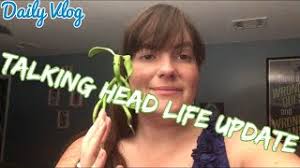 Talking Head Life Update