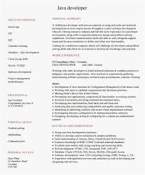 Cv Template Java Developer Cvtemplate Developer Template Resume Examples Job Resume Samples Resume Software
