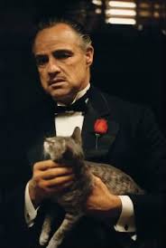 The Godfather Marlon Brando The Godfather Godfather Movie The Godfather