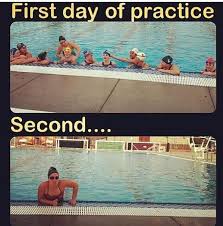 Discover our extensive collection of water polo player quotes. Water Polo Memes