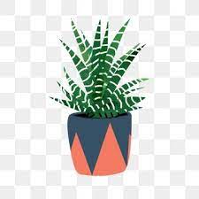 Potted Plant Green Plant Flower Pot Png And Psd Flower Pots Plants Small Potted Plants