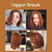 Have you ever wanted to dye your hair a rich bronze shade like beyonce, jeniffer lopez, and many other. Copper Brown Bleach And Color Shopee Philippines