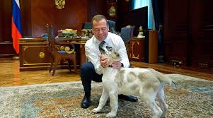 The alabai day included a contest to find the best of the large shepherd dogs. Turkmenistan Leader Establishes National Holiday To Honour Local Dog Breed Trending News The Indian Express