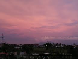 0 ratings0% found this document useful (0 votes). Pensil On Tumblr